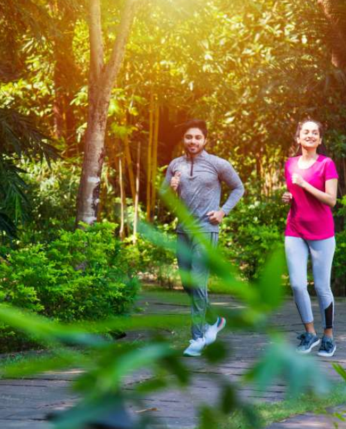 Jogging / Walking Track